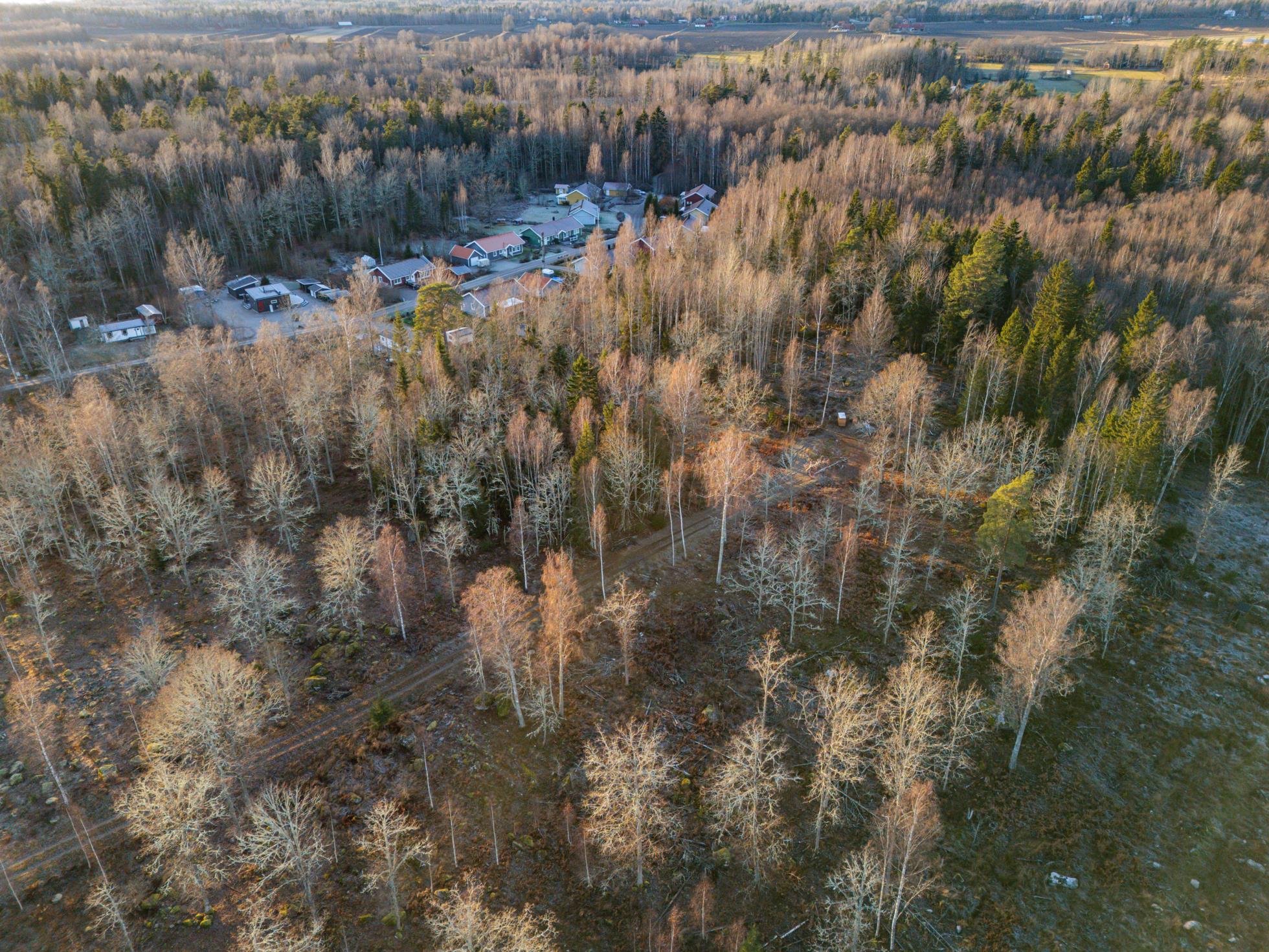 Tre sjönära tomter i björkudden!