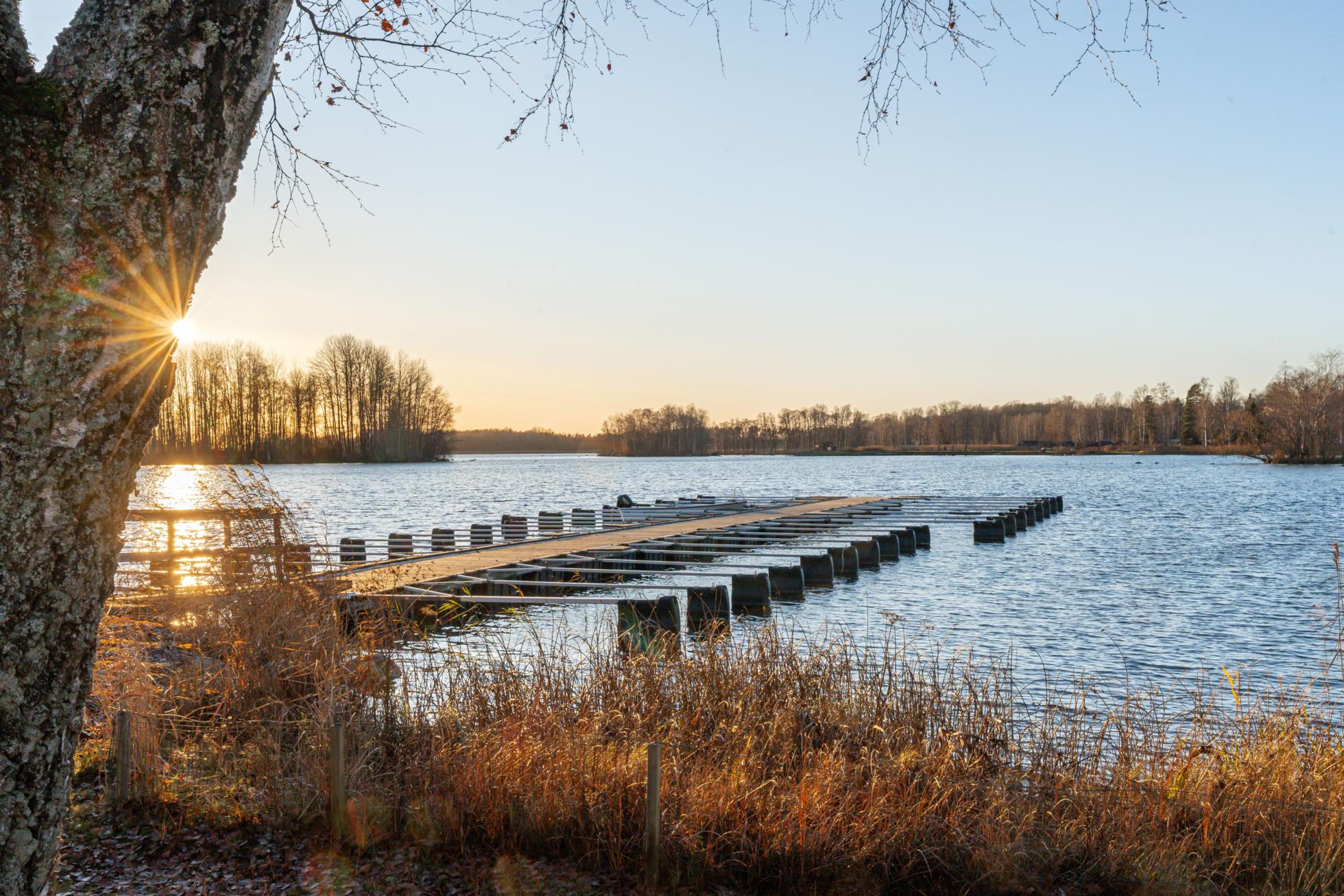 Sjönära boende i björkudden!
