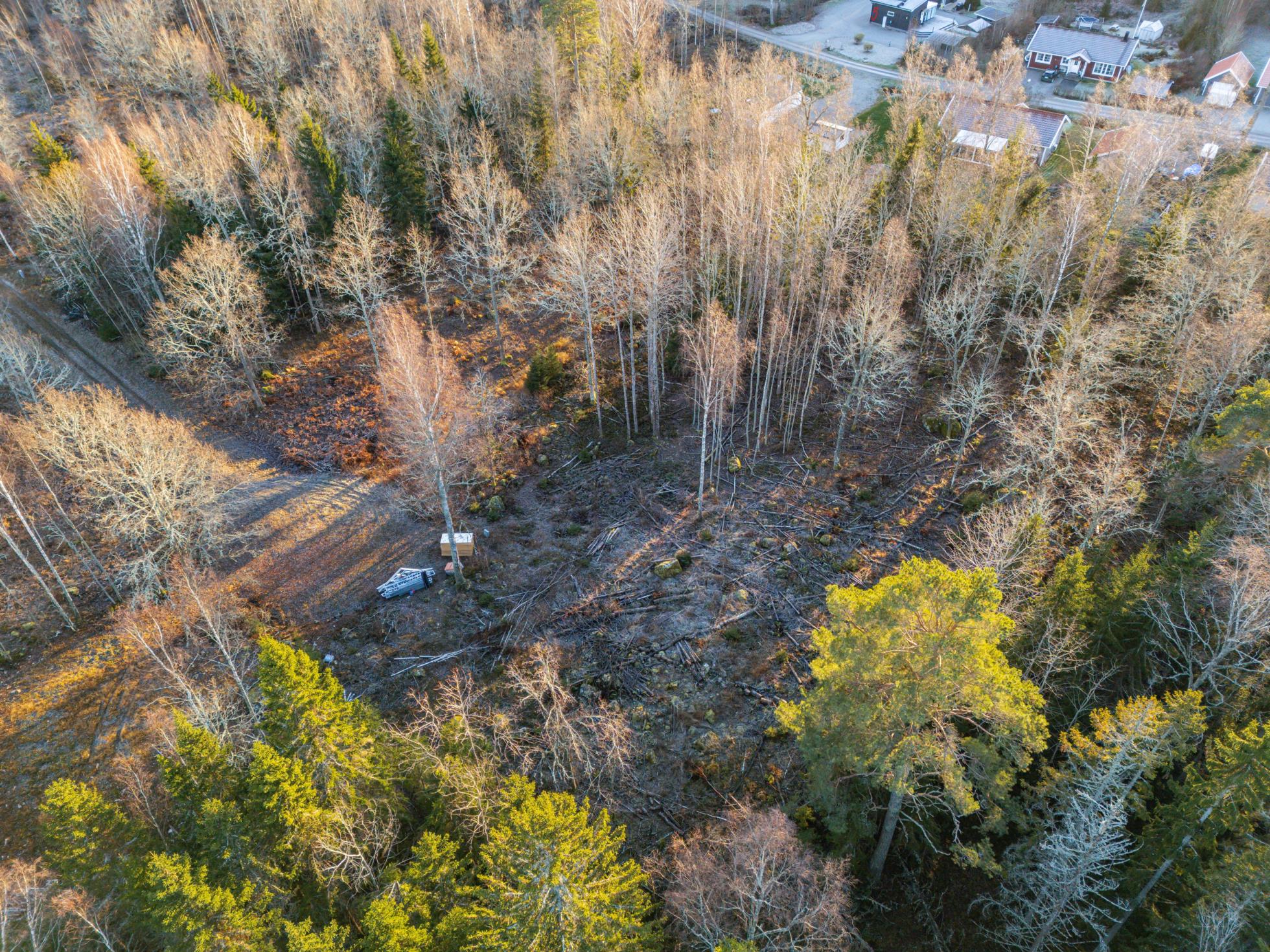 Sjönära boende i björkudden!