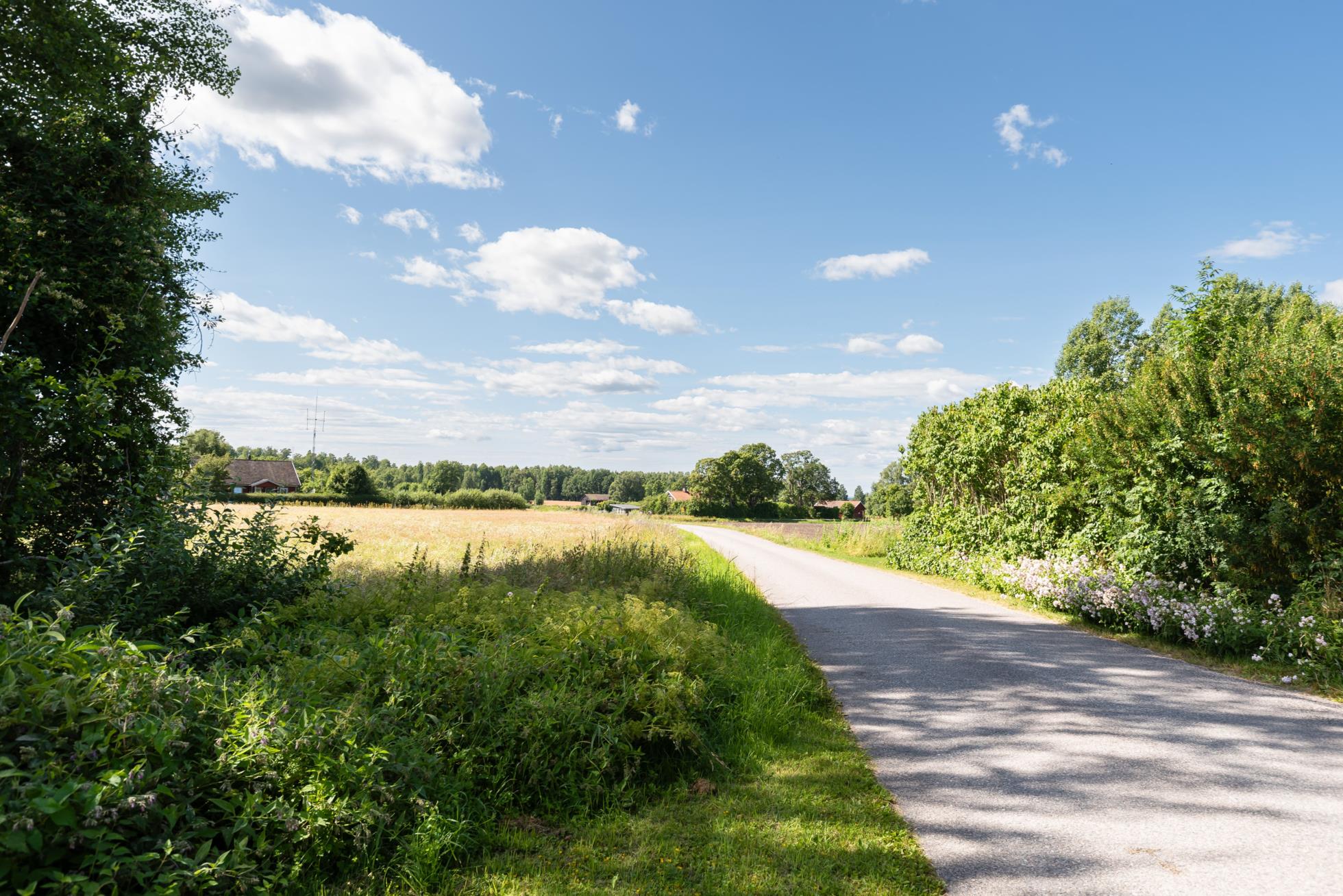 Ett trivsamt enplanshus med stora möjligheter i natursköna omgivningar.