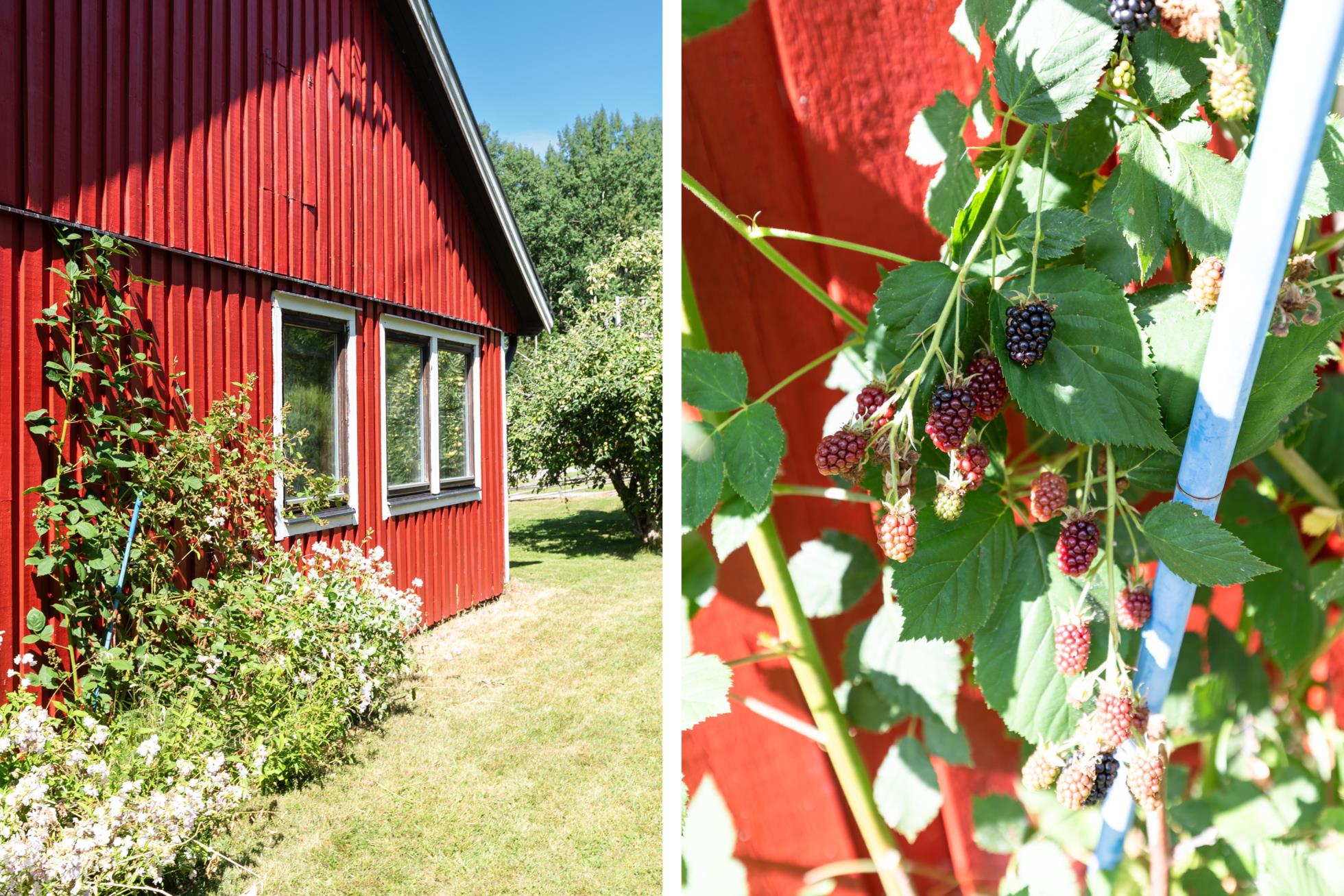 Ett trivsamt enplanshus med stora möjligheter i natursköna omgivningar.