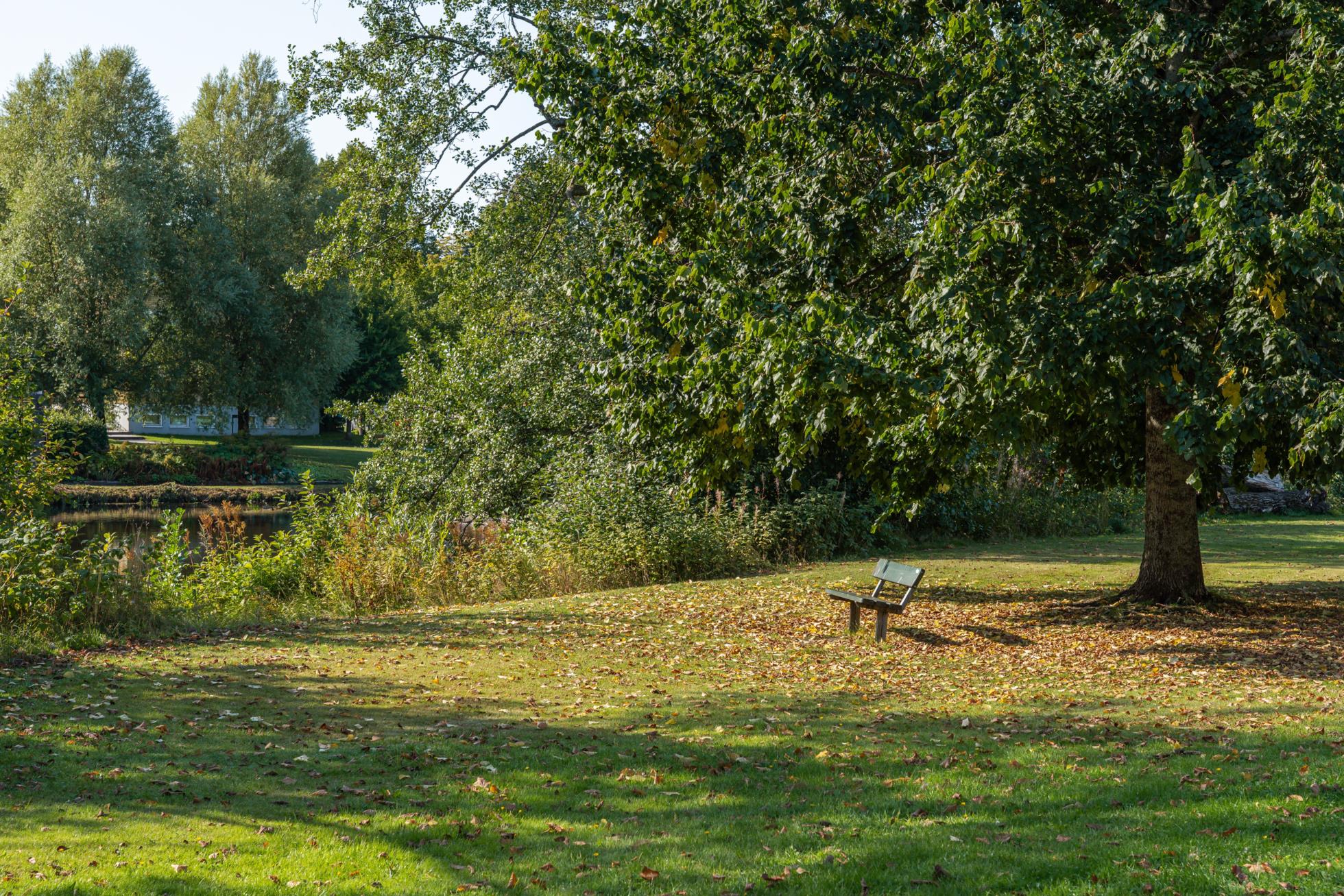 När city möter natur – tvåa med utsikt över Svartån!